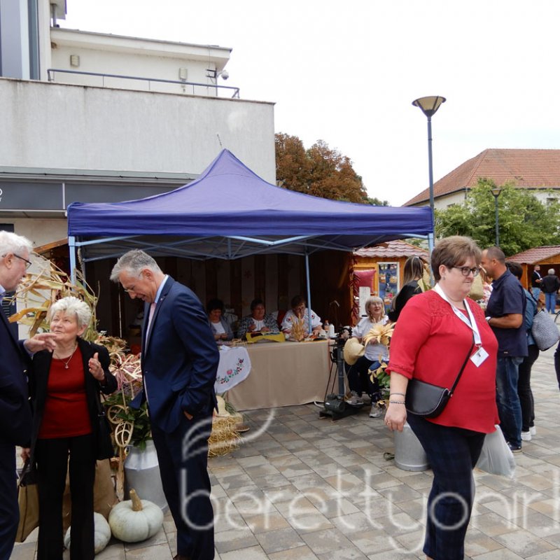Helyi Értékek Startja 75